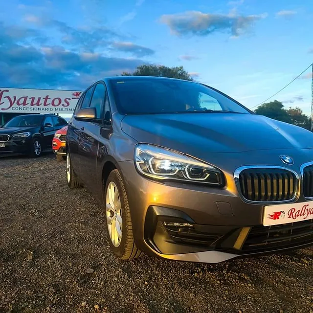Rallyautos España vehículos 